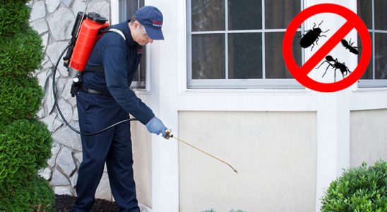 Sinanpaşa Hamam Böceği İlaçlama böcek ilaçlama ve haşere kontrolü — ilaclama-tr.com